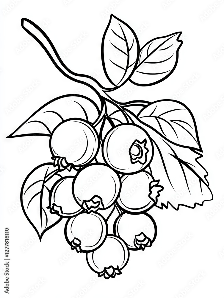Line Art Illustration of a Branch of Fresh Blueberries with Leaves Line Art Illustration of a Branch of Fresh Blueberries with Leaves