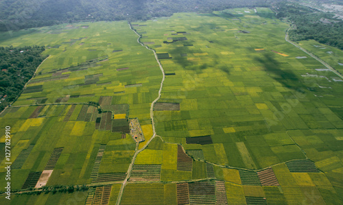 Aerial view of lush green rice fields in southern Yogyakarta Indonesia near a beach, showcasing rows of cultivated land under a clear blue sky