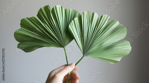 The poetic greenery in the palm photo