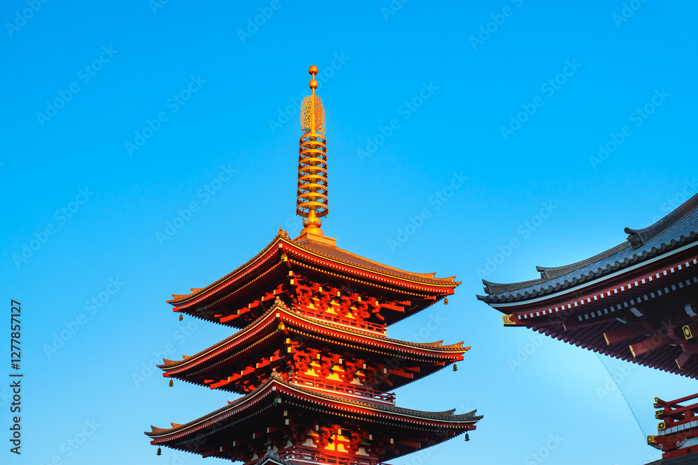 Japan beauty: five storied pagoda under blue sky and sunlight Japan beauty: five storied pagoda under blue sky and sunlight