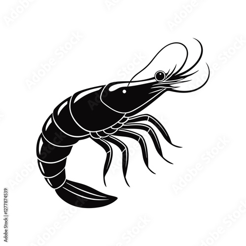  shrimp vector illustration 