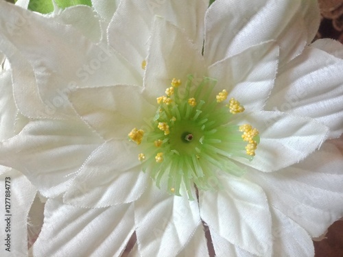 close up of white paper flowers