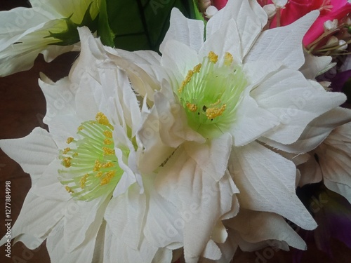 close up of white paper flowers