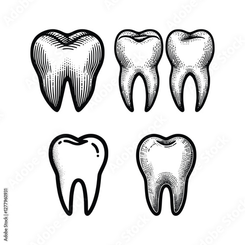set of tooth illustration. hand drawn black and white tooth illustration isolated background