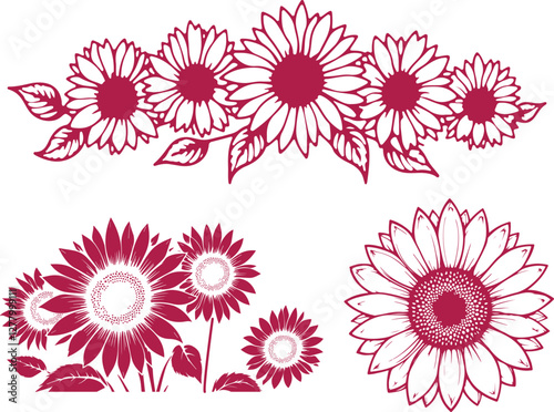 vector illustration of a flower. elegant burgundy and white sunflower silhouette design set