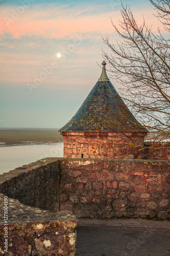 Medieval Majesty at Low Tide