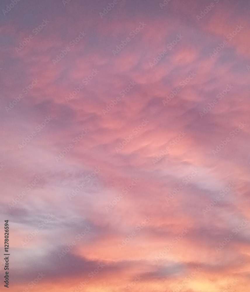 sky, sunset, pink clouds sky, sunset, pink clouds