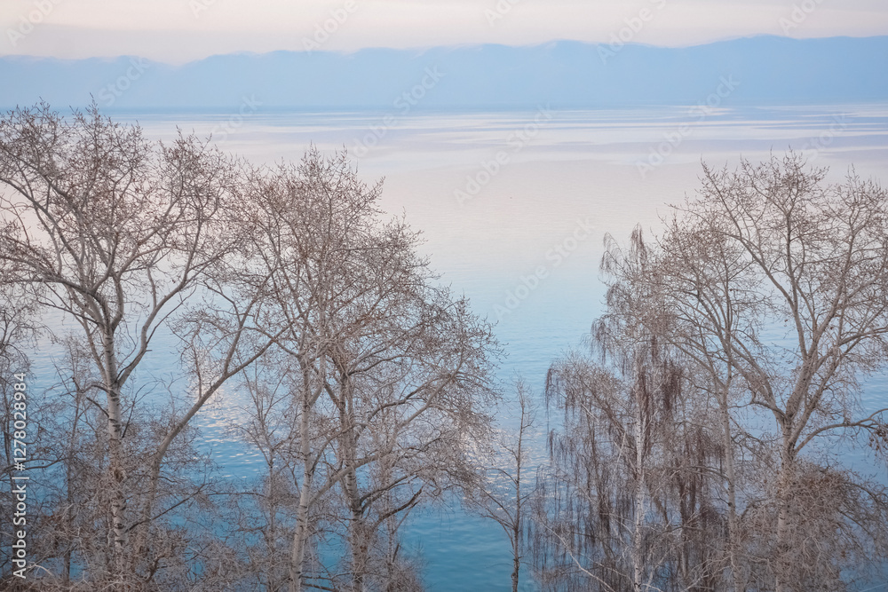 Nude trees on the background of the lake. Beautiful nature with a river and mountains. Winter landscape with the sea Nude trees on the background of the lake. Beautiful nature with a river and mountains. Winter landscape with the sea
