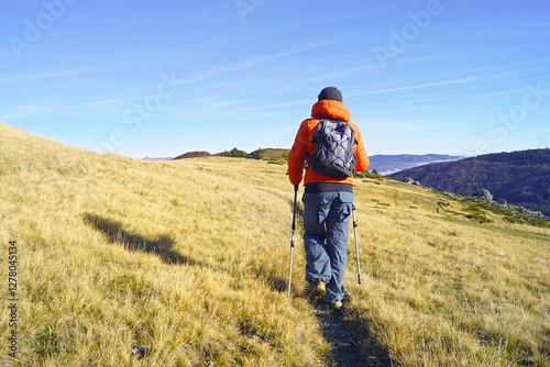 Autumn nature walk in Komovi, Montenegro: a tourist with a backpack and hiking poles, photographed from behind, walks along a path among yellow grass in a mountain valley. A person doing trekking