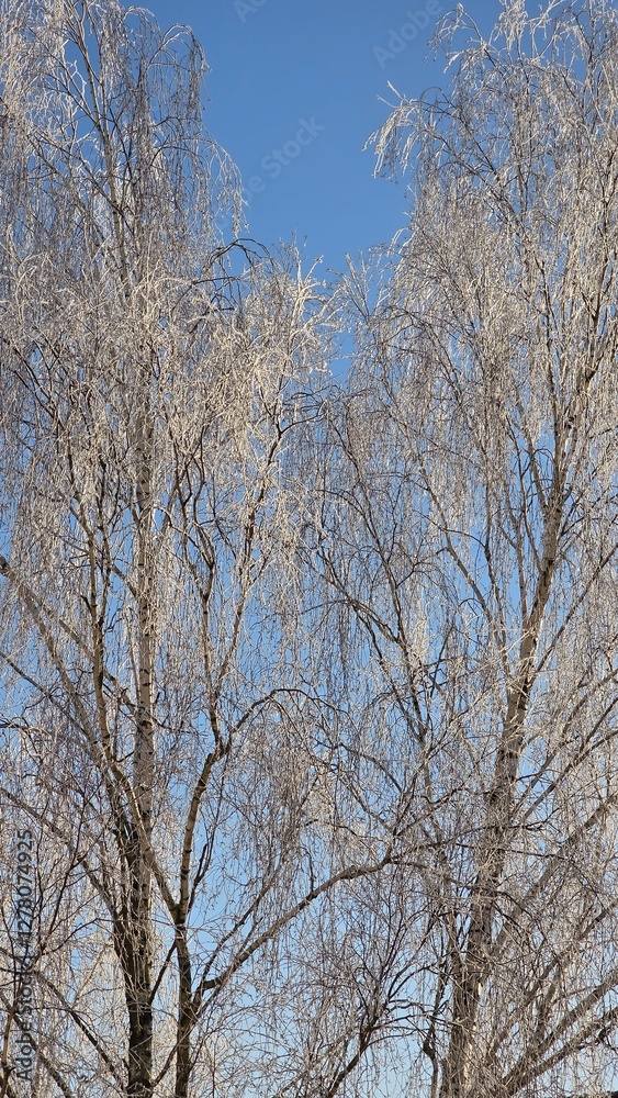 A snowy winter transforms the world into a breathtaking landscape, where everything is blanketed in a soft layer of white, creating a serene and magical atmosphere. A snowy winter transforms the world into a breathtaking landscape, where everything is blanketed in a soft layer of white, creating a serene and magical atmosphere.