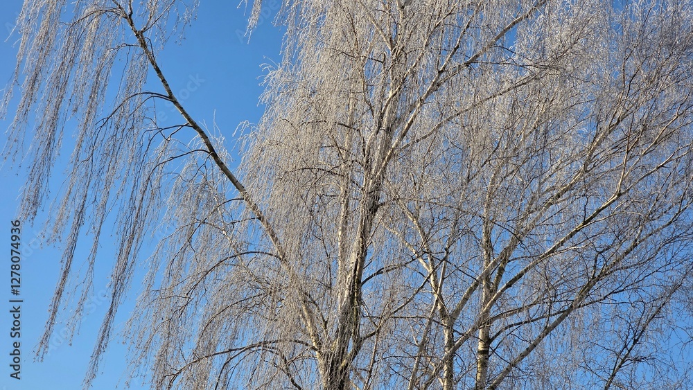 A snowy winter transforms the world into a breathtaking landscape, where everything is blanketed in a soft layer of white, creating a serene and magical atmosphere. A snowy winter transforms the world into a breathtaking landscape, where everything is blanketed in a soft layer of white, creating a serene and magical atmosphere.
