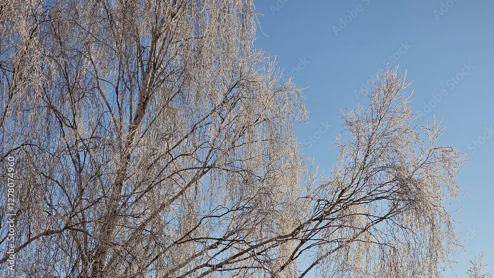 A snowy winter transforms the world into a breathtaking landscape, where everything is blanketed in a soft layer of white, creating a serene and magical atmosphere. A snowy winter transforms the world into a breathtaking landscape, where everything is blanketed in a soft layer of white, creating a serene and magical atmosphere.