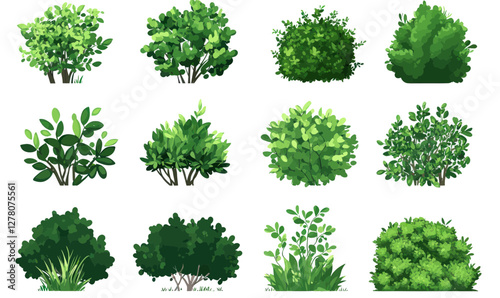 Vector Cartoon Shrub Bush Set for Garden Design and Landscaping Decor