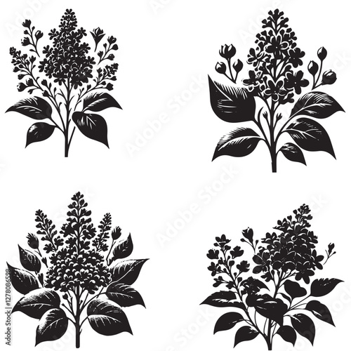"High-Quality Lemon Balm Herb Vector Illustrations Black Silhouette Isolated on White Background"
