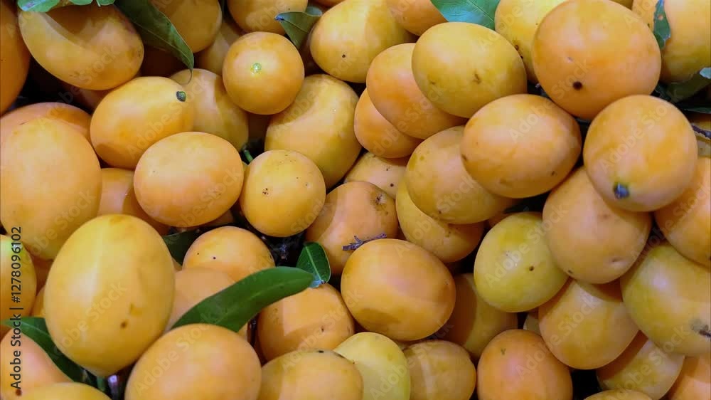 Showcase with fresh sweet apricots on the street market. Close-up. Fruits of the store. Farm market. Apricots background. Showcase with fresh sweet apricots on the street market. Close-up. Fruits of the store. Farm market. Apricots background.