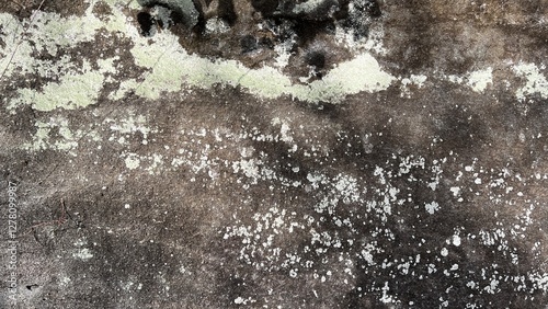 数百万年前の地層、地層の風景素材、岩肌の背景素材、半化石の表出する岩肌の風景