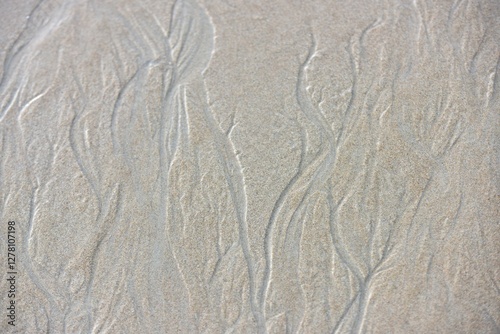 Wallpaper Mural texture of the sand Torontodigital.ca