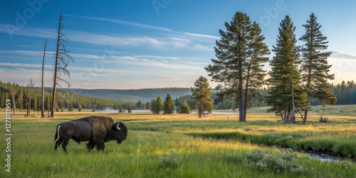 Wild Bison Roaming in a National Park, Showcasing the Beauty of Wildlife