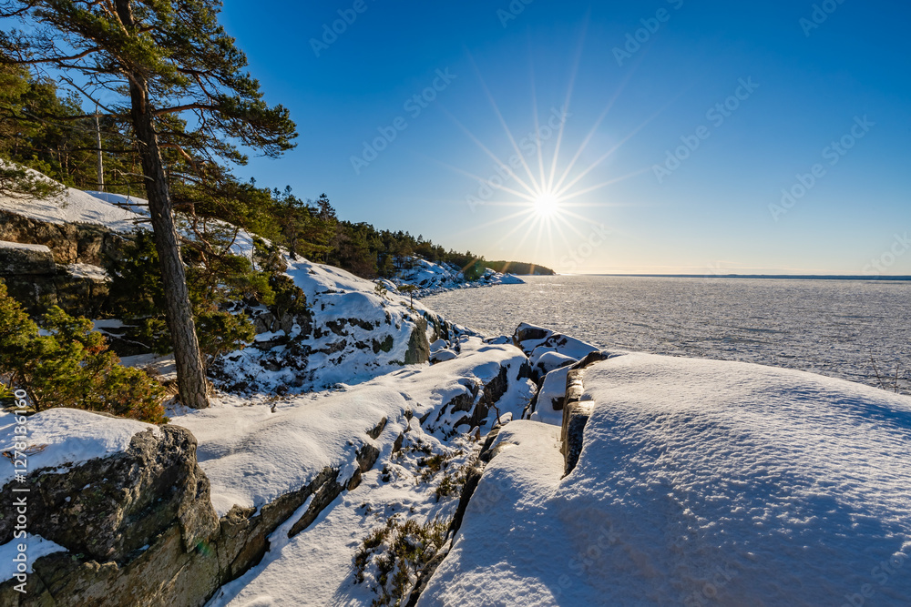 winter landscape with snow