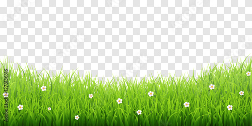 Vector green grass border isolated on png background. Spring green grass, lawn. Summer nature decoration. Transparent background
