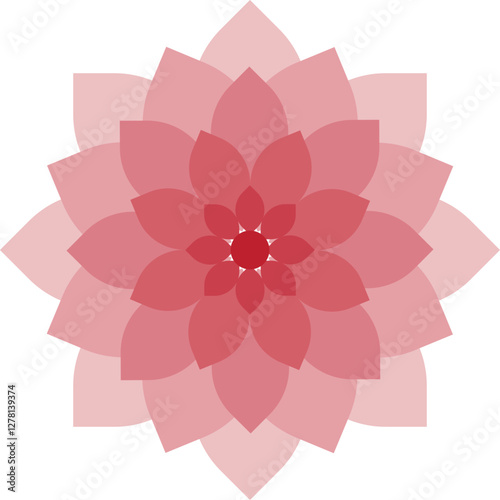 Illustration of a blooming lotus flower in layered shades of pink. Vector.