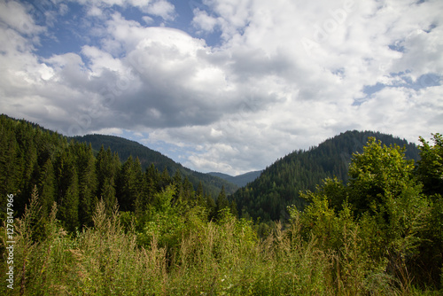 Nature