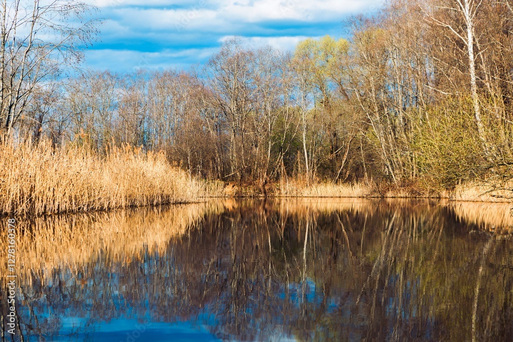 Beautiful spring landscape with river and forest. Ovsyanka river in Vitebsk region, Belarus Beautiful spring landscape with river and forest. Ovsyanka river in Vitebsk region, Belarus