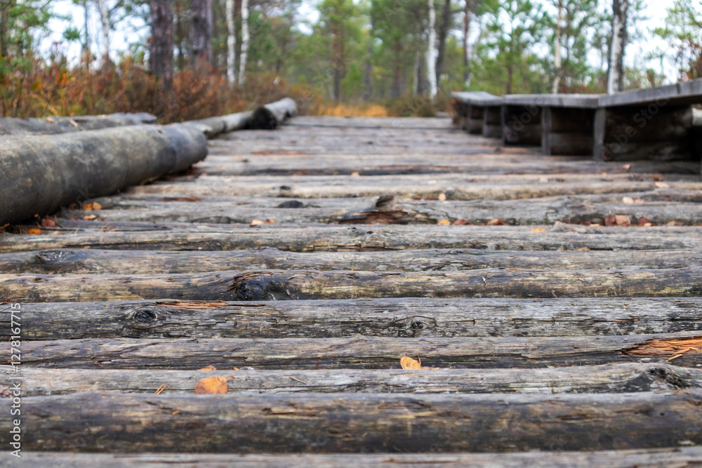a wooden boardwalk made of long, round wooden logs set in a forest or swamp.
a wooden boardwalk made of long, round wooden logs set in a forest or swamp.