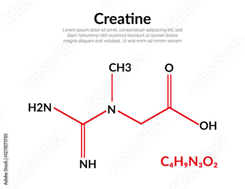 Creatine food supplement, molecular structure formula, suitable for education or chemistry science content. Vector illustration