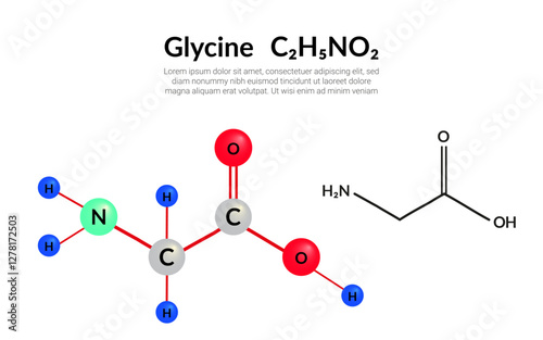 Glycine (symbol Gly) C2H5NO2 amino acid, molecular structural chemical formula, ball-and-stick model, suitable for education or chemistry science content. Vector illustration