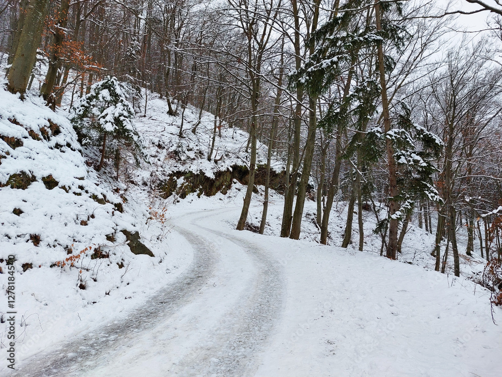 Slovenia at winter. Snowy road at Pohorje mountain. Europe