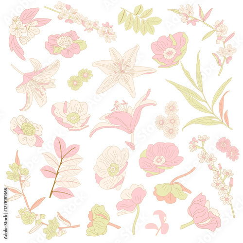 Vector illustration of hand-drawn flowers, lilies and leaves isolated on a white background. floral elements for invitations, greeting cards, botanical designs, fabric patterns, decorative projects.