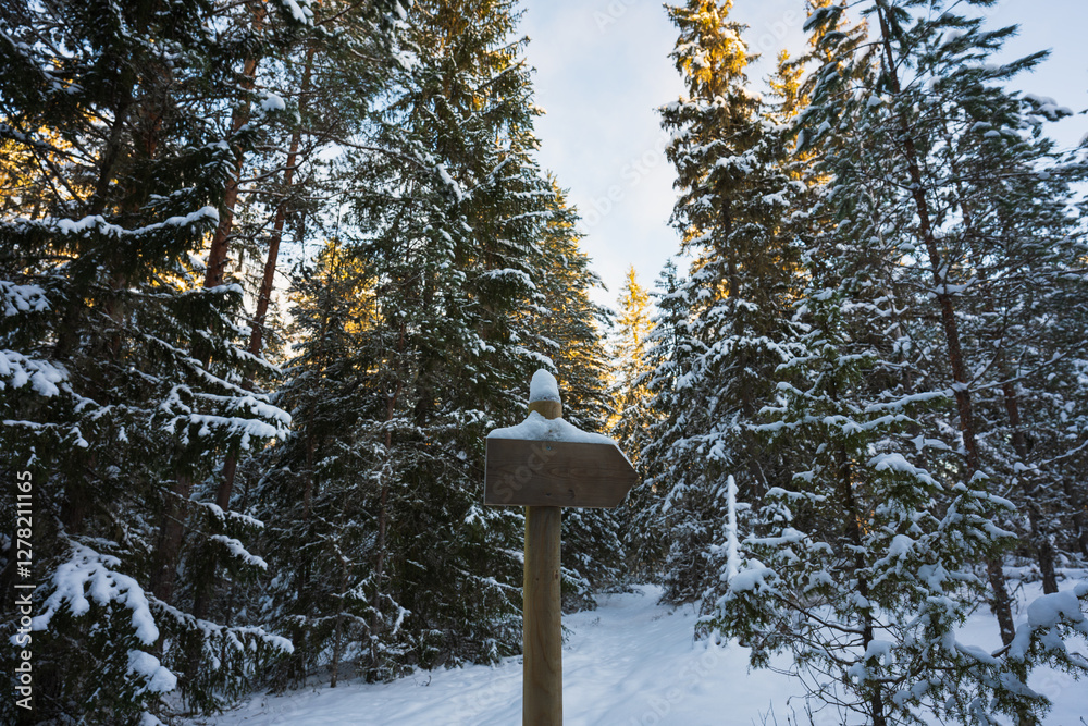 Winter landscape with a direction sign in a snow-covered forest, illuminated by sunlight against a blue sky. Winter landscape with a direction sign in a snow-covered forest, illuminated by sunlight against a blue sky.