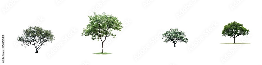 Set of Large Lush Green Tree with Spreading Branches, Isolated on Transparent Background Set of Large Lush Green Tree with Spreading Branches, Isolated on Transparent Background