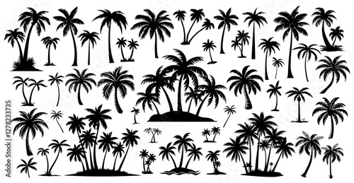 Coconut Tree Silhouette Set Collections Palm Tree Shadow