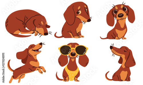 A set of flat vector illustrations in a simple children's style. Cute dachshunds in different poses. Happy dogs sleeping and playing. Vector illustration
