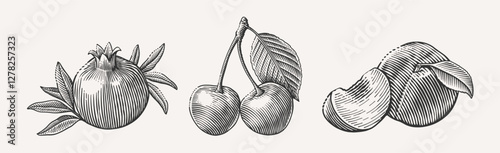 Detailed black-and-white hand-drawn illustration of fruits: a pomegranate, cherries, and a peach. Vintage engraving style perfect for culinary, botanical, or retro themes.