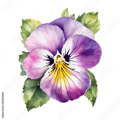 beautiful watercolor pink, purple and violet pansy.