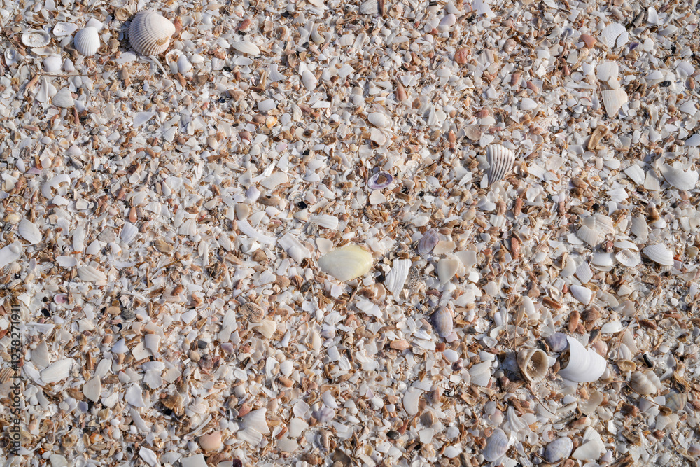 Sandy beach at low tide for background image. Sandy beach at low tide for background image.