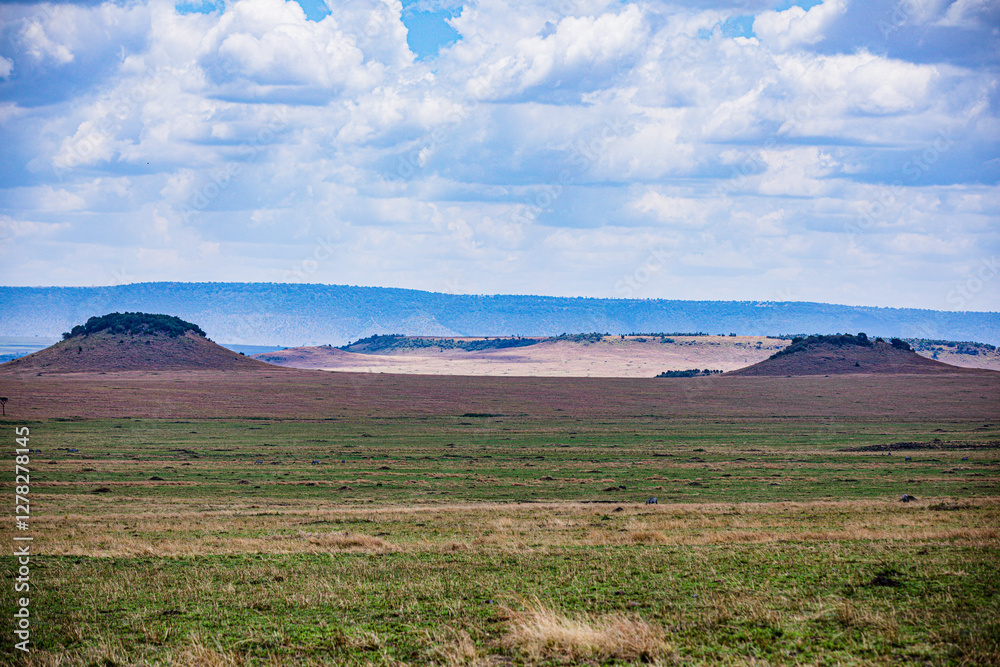 Obraz premium Kenyan Landscapes Maasai Mara National Game Reserve Park Savannah grasslands wilderness hills great rift valley Narok County Kenya East Africa Wild wildlife animals paradise panoramic scenic views