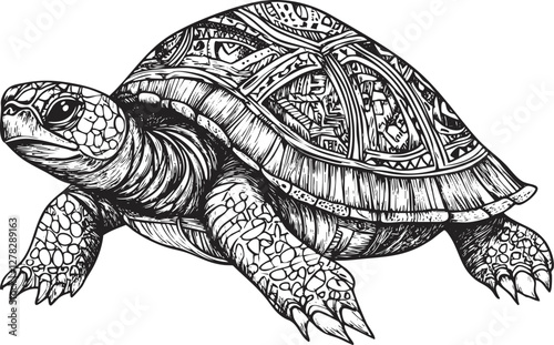Detailed black and white turtle illustration with intricate patterns.