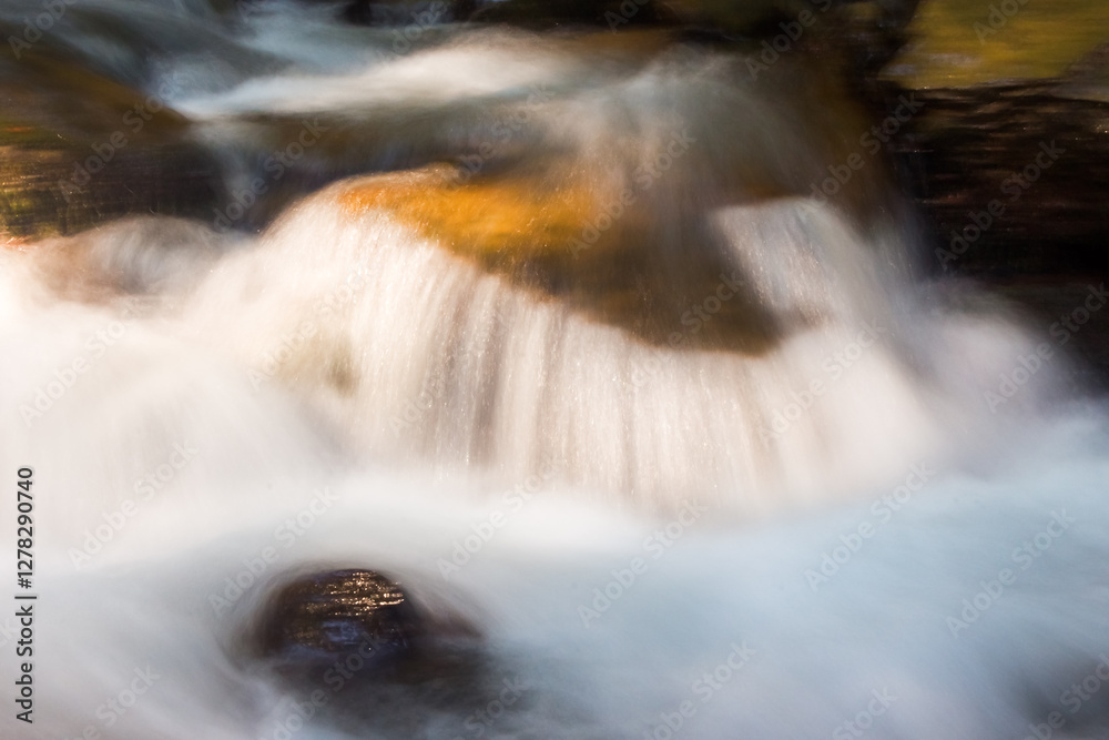 water flow of shypit stream. wet stone. summer nature scenery in dappled light. closeup view of refreshing outdoor background. peaceful purity