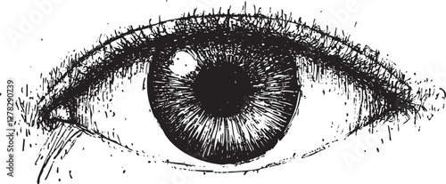 Black and white sketch of a detailed human eye illustration.