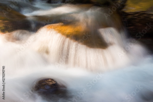 Obraz na płótnie water flow of shypit stream. wet stone. summer nature scenery in dappled light. closeup view of refreshing outdoor background. peaceful purity w salonie