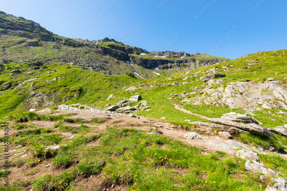 green mountain landscape of romania. highland on a sunny morning. fagaras ridge outdoor nature scenery. vacation destination with green hills