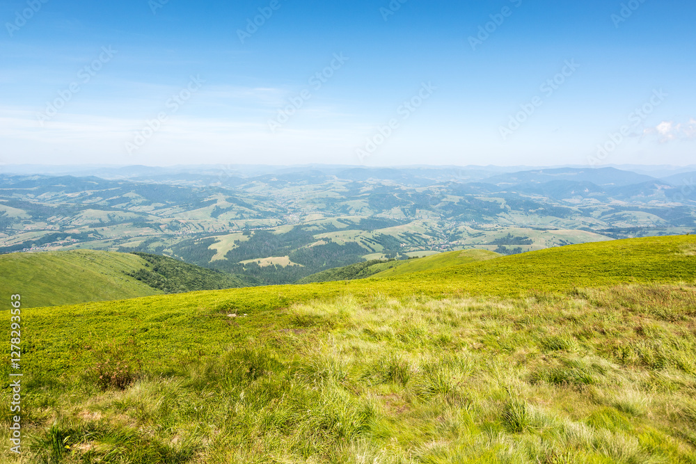 mountain landscape with meadow. beautiful view from alpine hill in summer. carpathian alps of ukraine