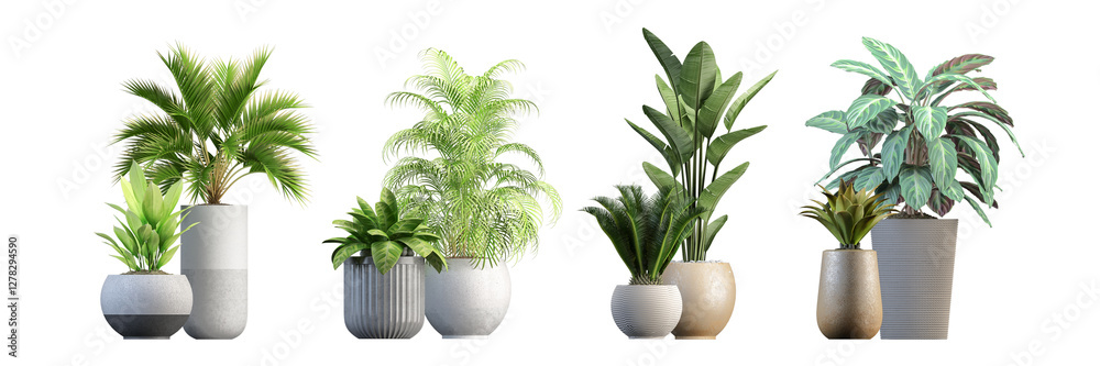 Fototapeta premium Plants in a pot