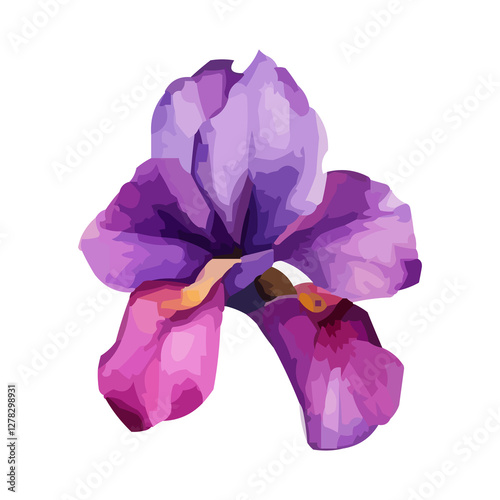 Summer garden iris flowers, watercolor illustration