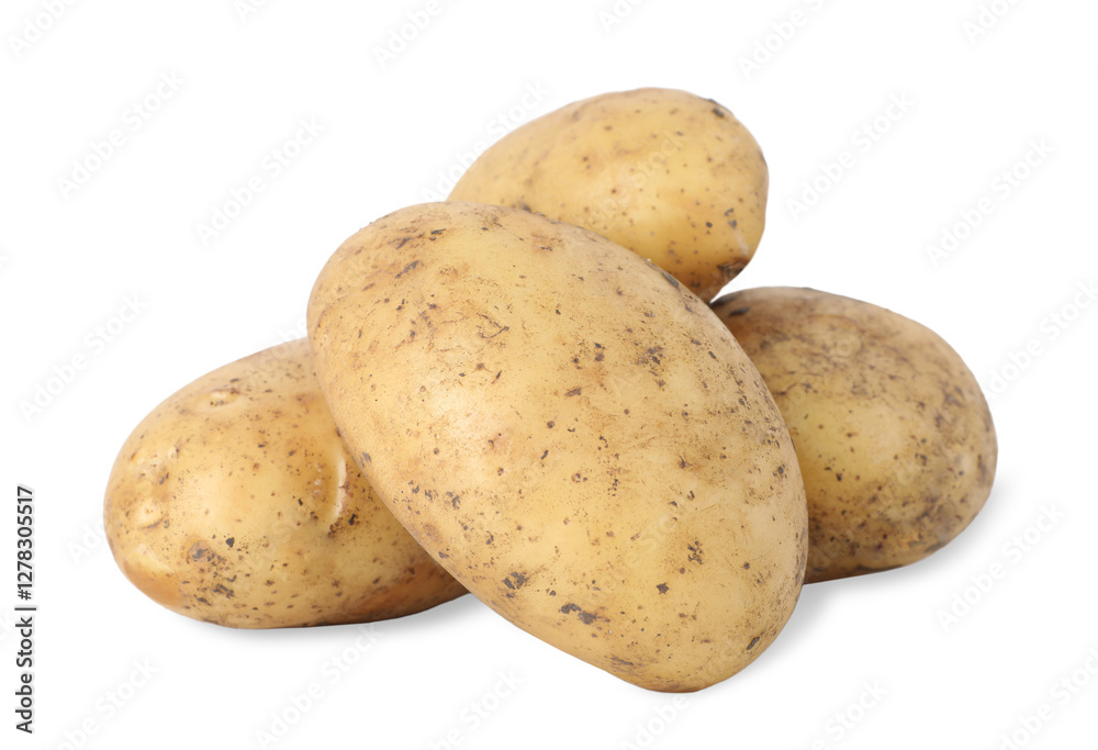 Fresh raw potatoes isolated on white. Vegetable root Fresh raw potatoes isolated on white. Vegetable root