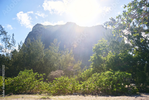 Le Morne Brabant mountain view from the beach at sunrise, with a beautiful tree in the foreground, Mauritius photo